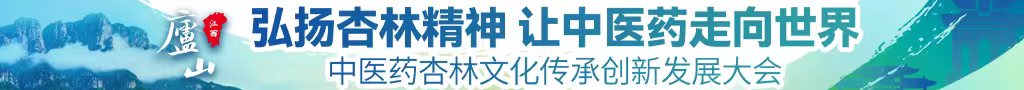 欧美操逼免费网中医药杏林文化传承创新发展大会